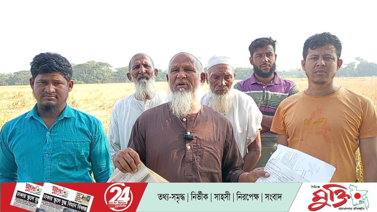 কৃষকের পাকা ধান কেটে নিলেন দুই প্রভাবশালী