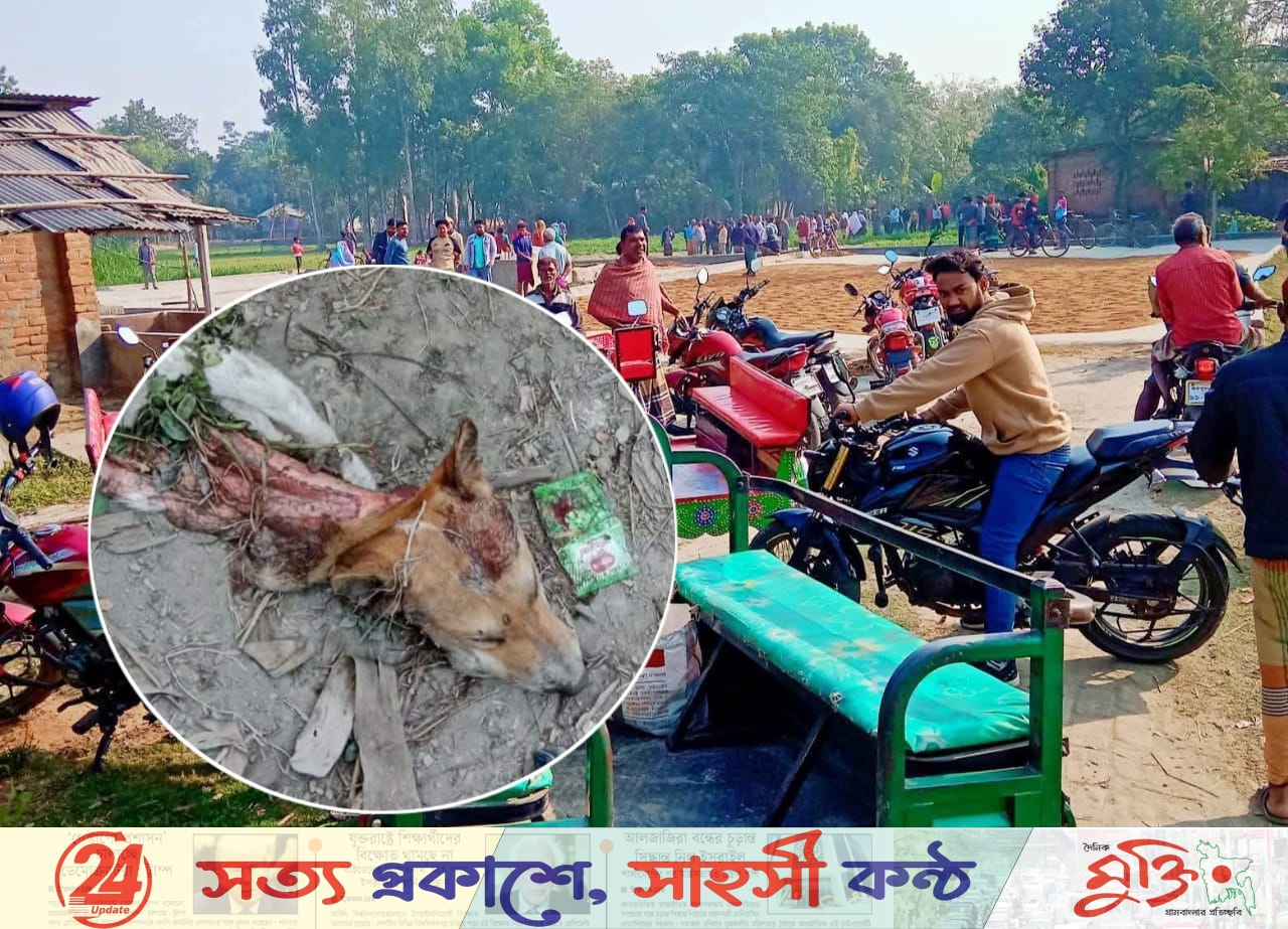 ধামইরহাটে খাসির আড়ালে কুকুরের মাংস