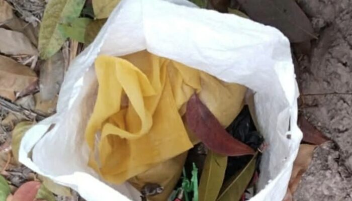 নড়াইলে ব্যাগে বোমা, নিষ্ক্রিয় ইউনিট