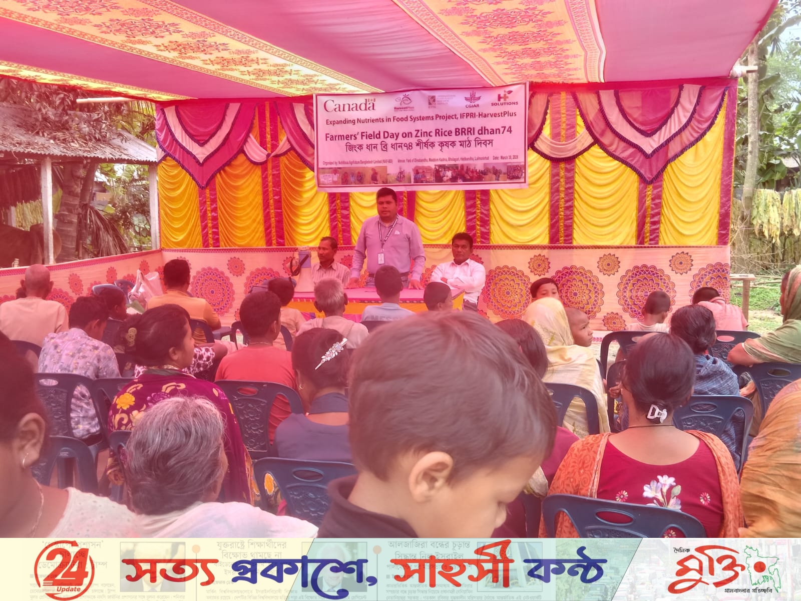 কালীগঞ্জে জিংক ধানের মাঠ দিবস, কৃষকদের আগ্রহ তুঙ্গে