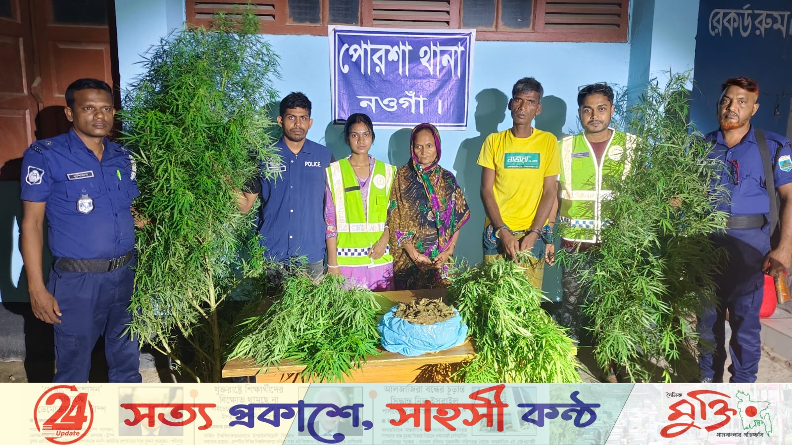 পোরশায় পুলিশের পৃথক অভিযানে গাঁজা ও গাঁজা গাছ উদ্ধার
