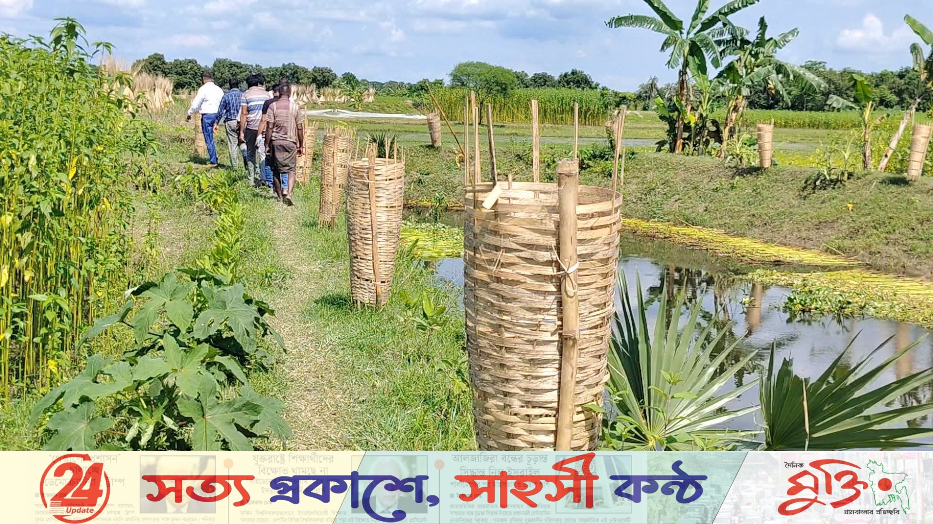 ৫১ লাখের খাল খনন প্রকল্পে অনিয়মের অভিযোগ, মিলল ৯৫ গাছ