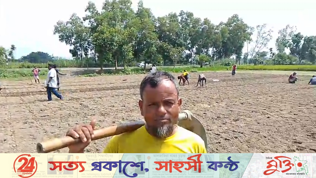 চড়া দামের আশায় রাণীশংকৈলে আগাম আলু-সবজি চাষে কৃষক