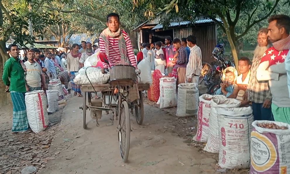 বাঘায় পেঁয়াজের বাজারে দুর্ভোগ