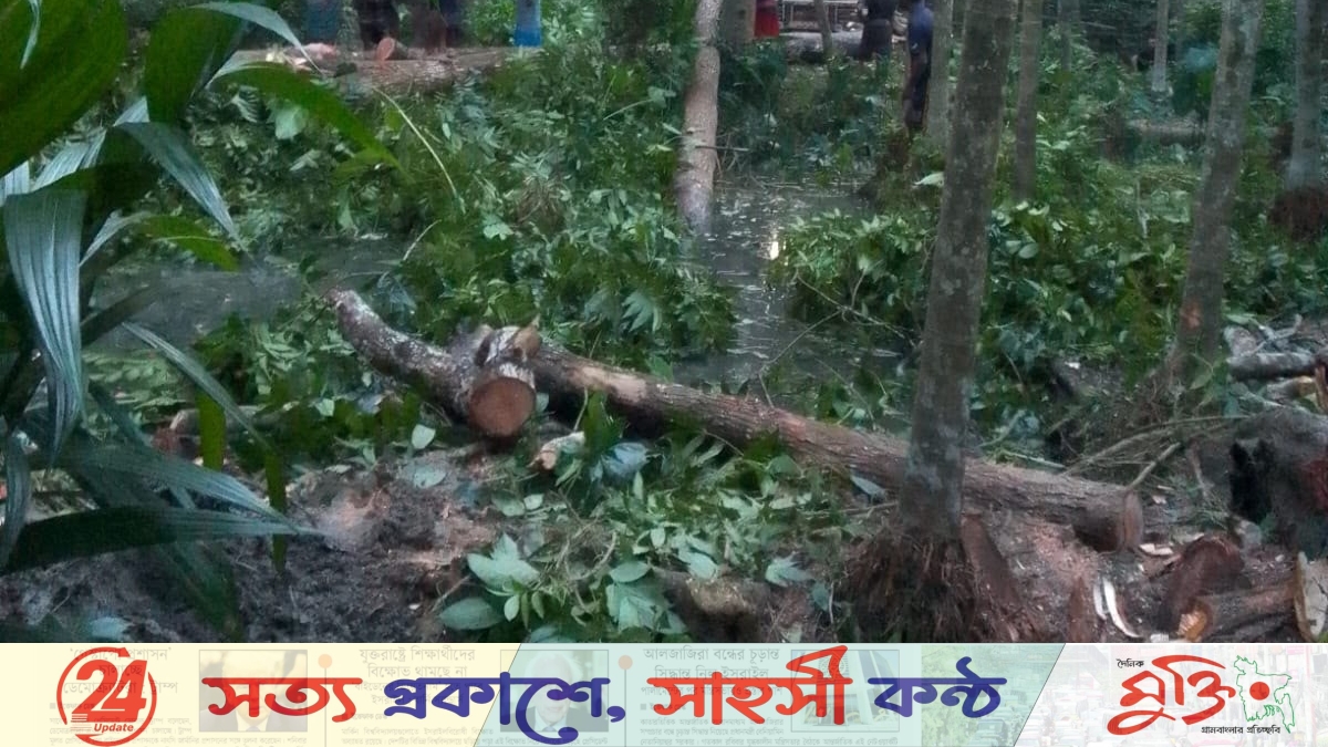 আদালতে মামলা চলমান, পিরোজপুরে বিরোধপূর্ণ জমির গাছ কাটার অভিযোগ